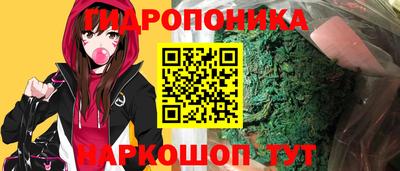 гидропоника Тула