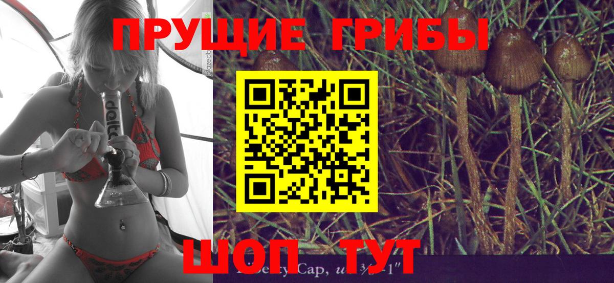Галлюциногенные грибы Cubensis Брянск
