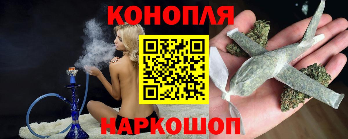Бошки Шишки планчик Брянск